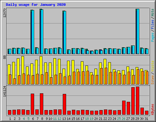 Daily usage for January 2020