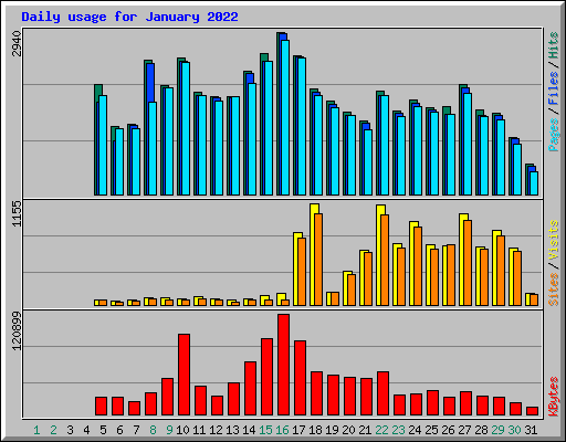 Daily usage for January 2022