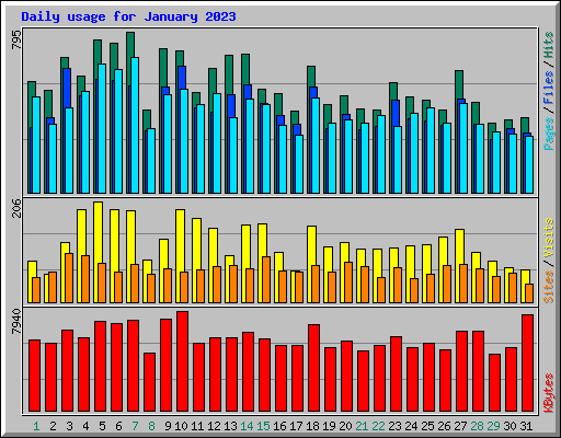 Daily usage for January 2023