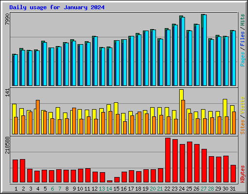 Daily usage for January 2024