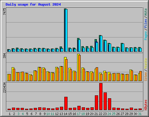 Daily usage for August 2024