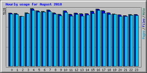 Hourly usage for August 2018