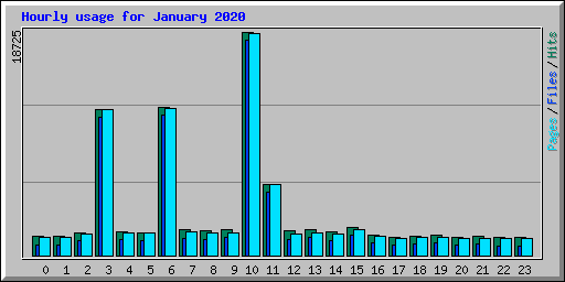 Hourly usage for January 2020