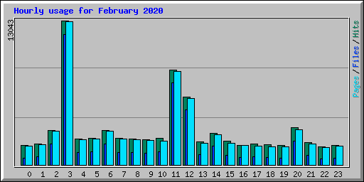 Hourly usage for February 2020