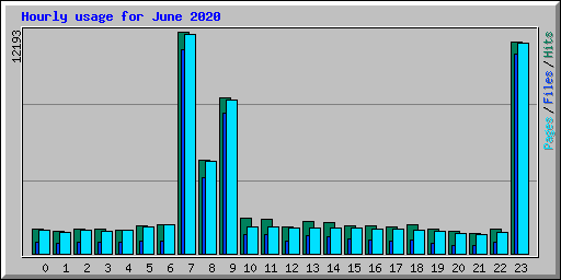 Hourly usage for June 2020