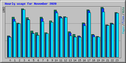 Hourly usage for November 2020