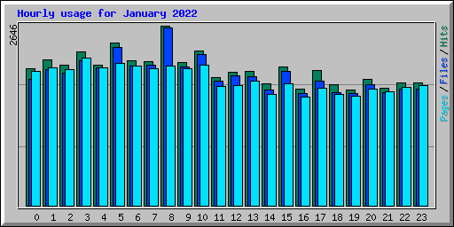 Hourly usage for January 2022