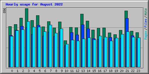 Hourly usage for August 2022