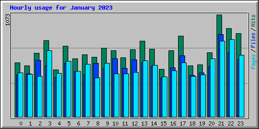 Hourly usage for January 2023