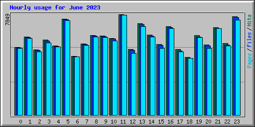 Hourly usage for June 2023