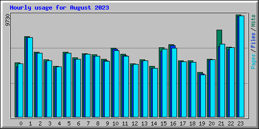 Hourly usage for August 2023