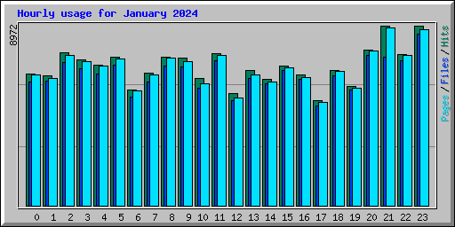 Hourly usage for January 2024