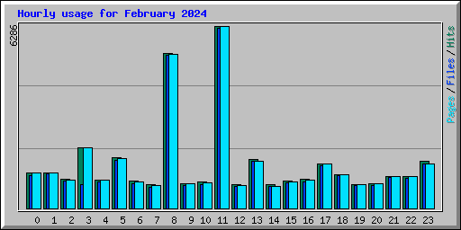 Hourly usage for February 2024