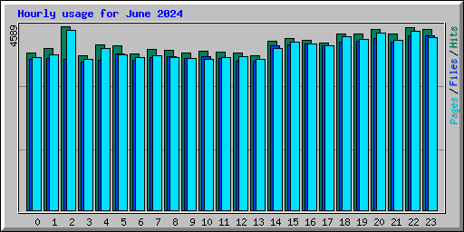 Hourly usage for June 2024