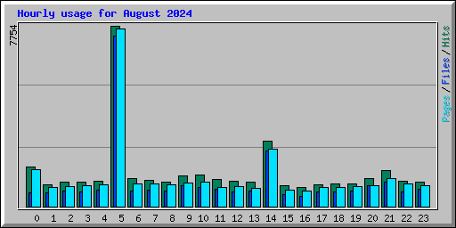 Hourly usage for August 2024