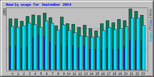 Hourly usage for September 2024