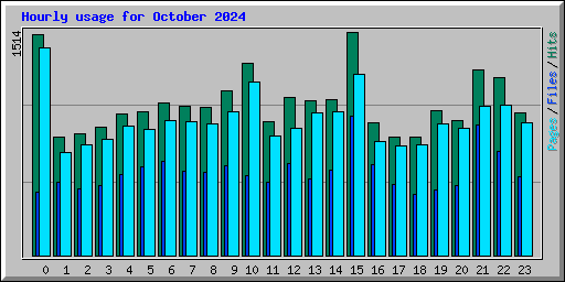 Hourly usage for October 2024