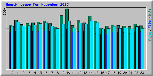 Hourly usage for November 2025
